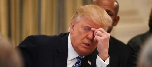 OFFICIAL: Trump Suffers Humiliation After All 50 States Denied Him ... - politicaldig.com