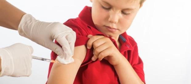 Vacunas: ¿son realmente necesarias, seguras y efectivas? - biopcion.com Vacunas: ¿son realmente necesarias, seguras y efectivas? - biopcion.com