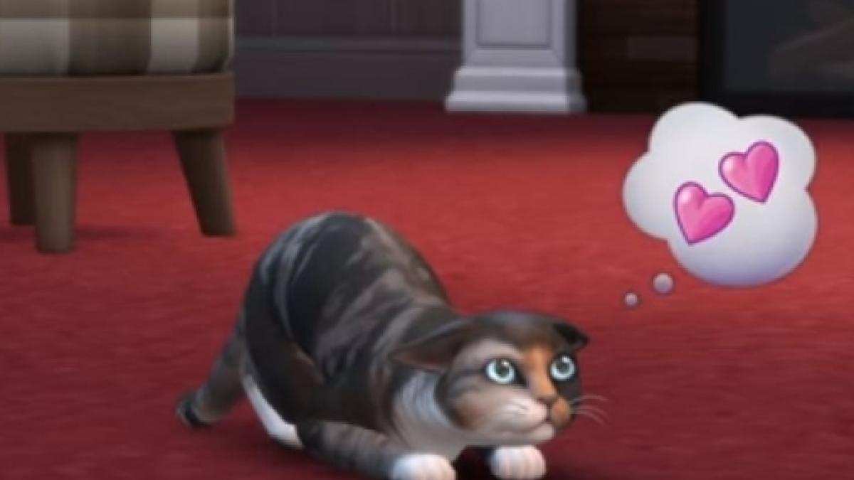 the sims 4 cats and dogs get clothes