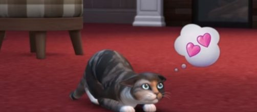 Maxis says 'The Sims 4: Cats and Dogs' will get better clothing options. The Sims/YouTube