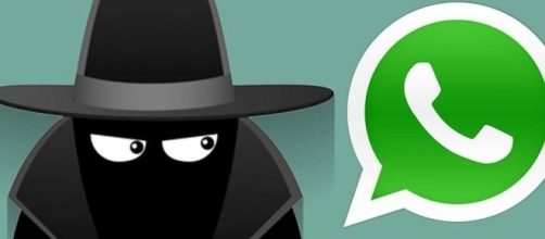Novità Whasapp: per il web e l'app spia WhatsAgent - androidaba.com