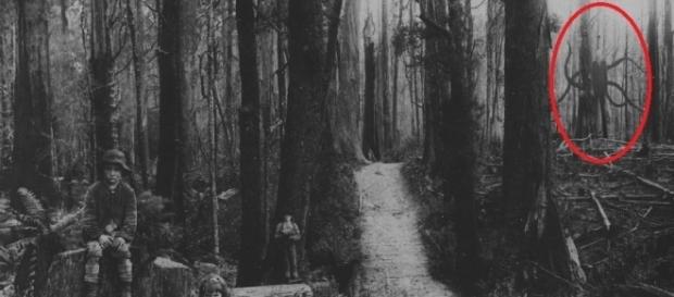Confira a lenda da criatura maligna Slender Man Confira a lenda da criatura maligna Slender Man