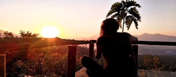 Can you hush for an entire week in the jungle? Own image Can you hush for an entire week in the jungle? Own image