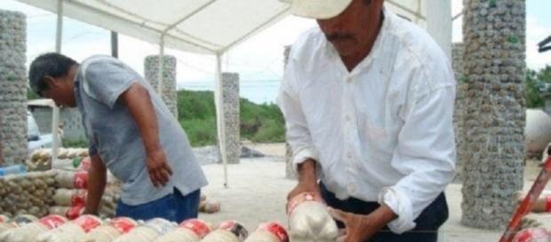El modelo de construcción de VIEM propone dar un hogar temporal para las personas que perdieron su casa tras el sismo en México. El modelo de construcción de VIEM propone dar un hogar temporal para las personas que perdieron su casa tras el sismo en México.
