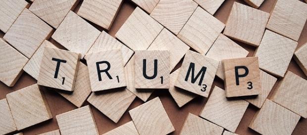 President Trump - Image via Pixabay. President Trump - Image via Pixabay.