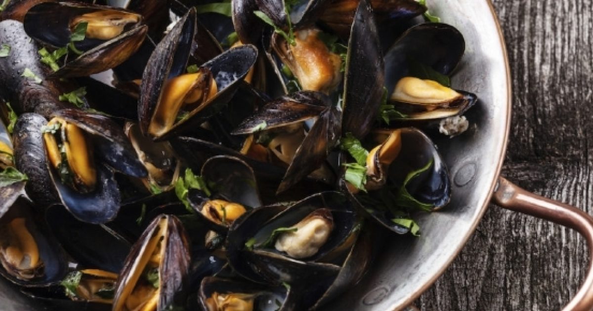 Allerta alimentare per molluschi e cozze con biotossine