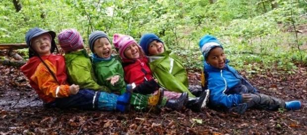 Crianças constantemente estimuladas a explorarem o meio ambiente Crianças constantemente estimuladas a explorarem o meio ambiente