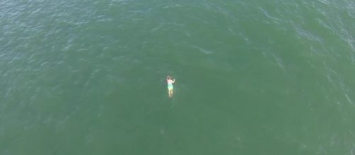 Nuota nell'oceano per sfuggire alla polizia ma vicino a lui c'è uno squalo pronto ad attaccarlo. Foto: youtube.