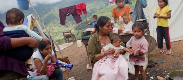 Indígenas desplazados de sus tierras, acusados de ser narcos, los despojan violentamente Indígenas desplazados de sus tierras, acusados de ser narcos, los despojan violentamente