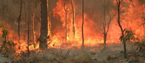Scene of a bushfire (Credit – 80 treading 24 – wikimediacommons)