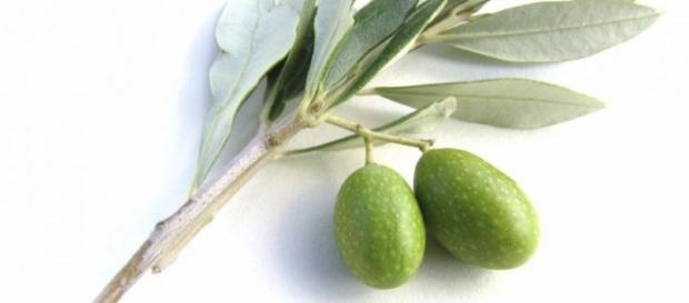 Pressione alta: i rimedi naturali efficaci | Tanta Salute - tantasalute.it Pressione alta: i rimedi naturali efficaci | Tanta Salute - tantasalute.it