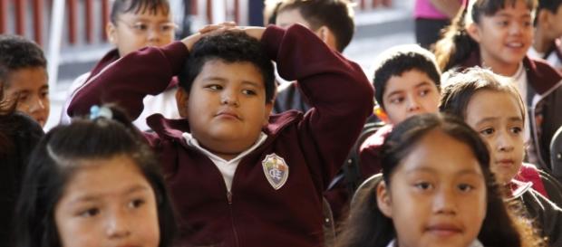 ¿Qué está pasando con los profesores en México? ¿Qué está pasando con los profesores en México?