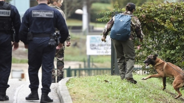 Parallèlement, les recherches se poursuivent pour retrouver Maëlys