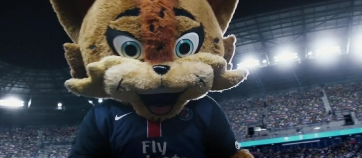 Psg Apres Les Footix Decouvrez Les Lynx