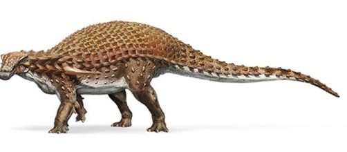 Il Nodosauro era lungo oltre i 5 metri e pesava ben 1300 kg