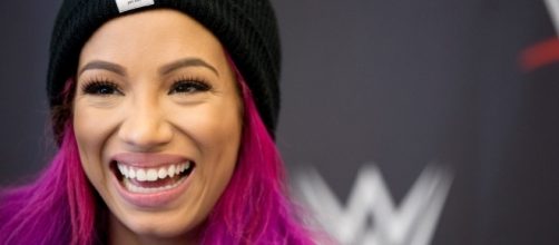 Sasha Banks on wrestling fans - Fort George G. Meade Public Affairs Office via Wikipedia Commons