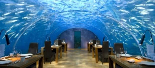 An underwater restaurant. (Image by Charly W. Karl/Flickr) An underwater restaurant. (Image by Charly W. Karl/Flickr)