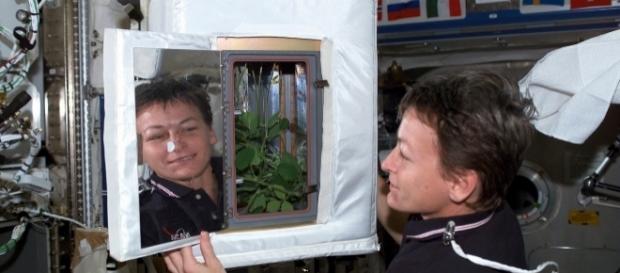 Astronaut Peggy Whitson has returned to Earth after her space missions/ Photo via USDA, Flickr Astronaut Peggy Whitson has returned to Earth after her space missions/ Photo via USDA, Flickr