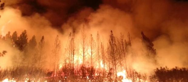 California also suffered extreme wildfires in 2013. File photo of US Department of Agriculture/Public Domain California also suffered extreme wildfires in 2013. File photo of US Department of Agriculture/Public Domain