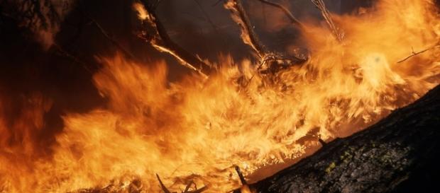 Wildfire - Image via Pixabay.. Wildfire - Image via Pixabay..