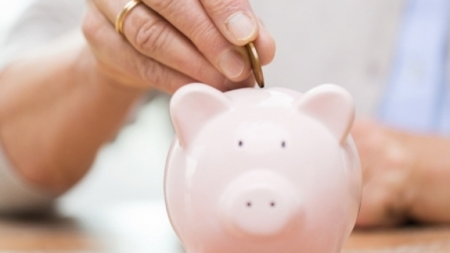 Ape volontaria: tutte le informazioni utili