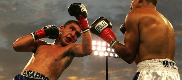 A boxing match in progress.Photo credit https://pixabay.com A boxing match in progress.Photo credit https://pixabay.com