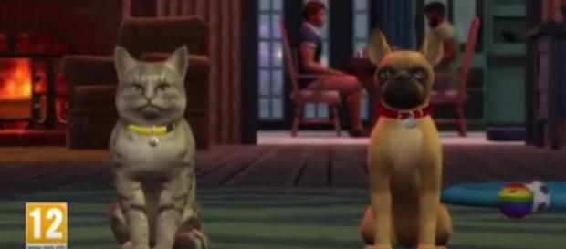 The Sims team offers a slew of images teasing an early look at 'The Sims 4' Cats and Dogs Expansion Pack. The Sims/YouTube The Sims team offers a slew of images teasing an early look at 'The Sims 4' Cats and Dogs Expansion Pack. The Sims/YouTube