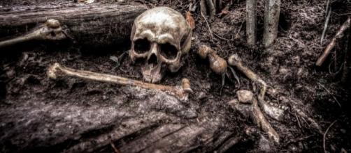 The death remains a mistery, Pixabay https://pixabay.com/en/skull-bones-skeleton-head-death-2525192/