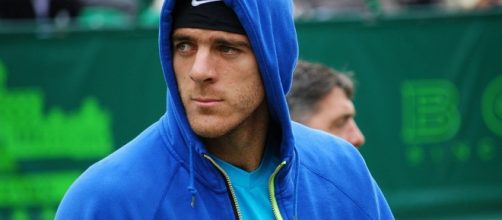 2-1 on Federer: Juan Martin Del Potro beats Swiss champ on 2017 US Open. / from 'Wikimedia Commons'