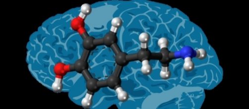 La dopamina, il neurotrasmettitore carente nel Parkinson (https://goo.gl/SfCp5z)