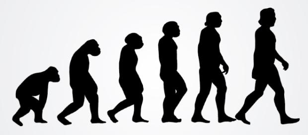 Human Evolution | Vector Open Stock | Flickr Human Evolution | Vector Open Stock | Flickr