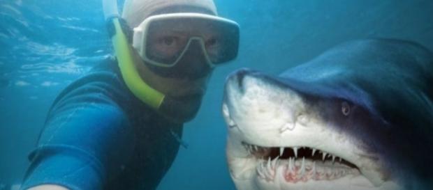 Selfies (Via animalpolitico.com) Selfies (Via animalpolitico.com)