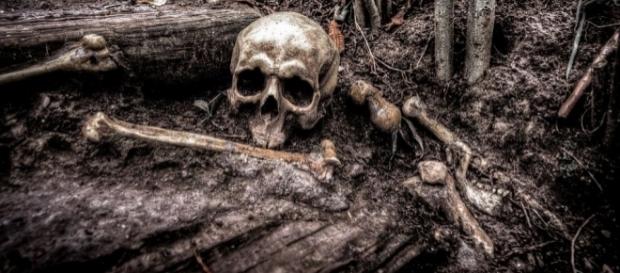 The death remains a mistery, Pixabay https://pixabay.com/en/skull-bones-skeleton-head-death-2525192/ The death remains a mistery, Pixabay https://pixabay.com/en/skull-bones-skeleton-head-death-2525192/