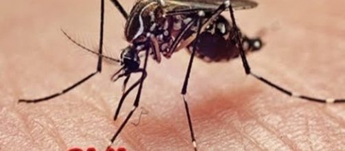 Chikungunya fever ,causes, symptoms, treatment & prevention tips ... - youtube.com