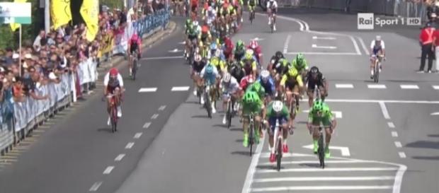 Giacomo Nizzolo, vincitore della Coppa Bernocchi 2016 Giacomo Nizzolo, vincitore della Coppa Bernocchi 2016