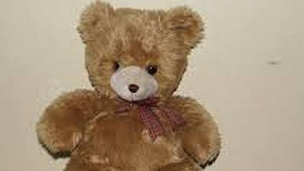 teddy bear american president