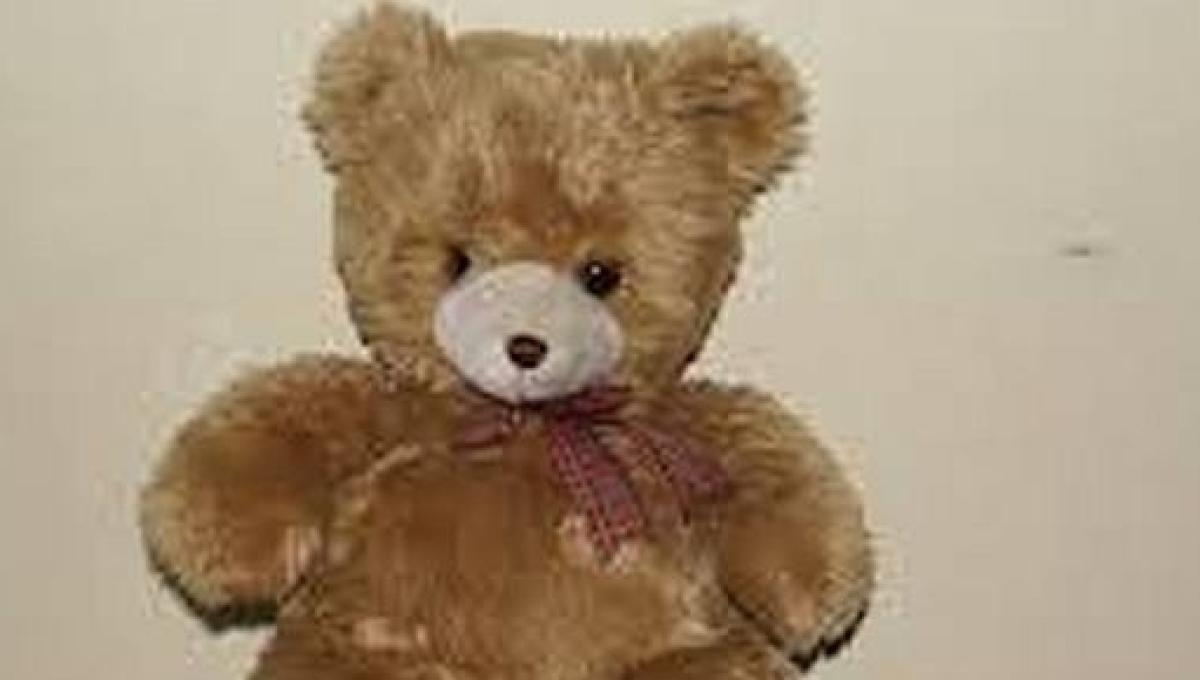 teddy bear american president