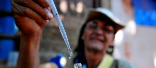 New research suggests that the Zika virus could potentially counter brain cancer/Agência Brasília, Flickr New research suggests that the Zika virus could potentially counter brain cancer/Agência Brasília, Flickr
