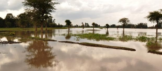 Flooding, Image via Pixabay... Flooding, Image via Pixabay...