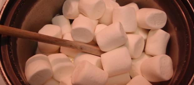 Marshmallows, Image Credit: Joel Kramer / Flickr Marshmallows, Image Credit: Joel Kramer / Flickr