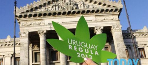 Marijuana libera in Uruguay: meno di un dollaro al grammo, si ... - today.it