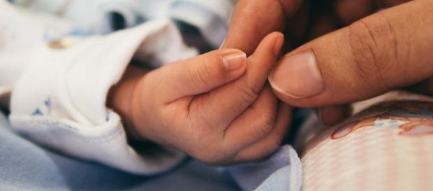 Strict program of adolescent pregnancy Strict program of adolescent pregnancy