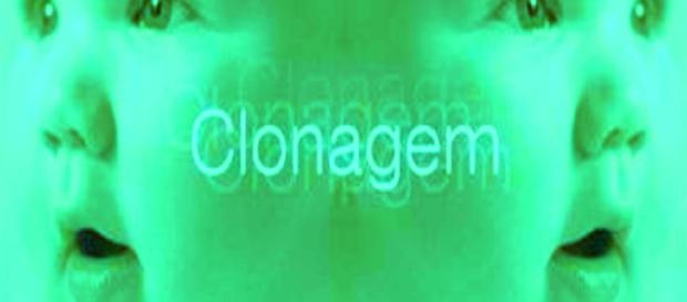 Clonagem: Novos avanços foram feitos Clonagem: Novos avanços foram feitos