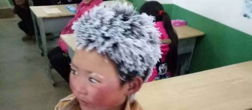 Fiocco di neve commuove la Cina, foto - Corriere.it - corriere.it
