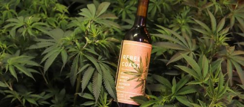 Rebel Coast Winery launches world's first THC-infused, alcohol ... - (Image Cr: thecannifornian/Youtube screencap)