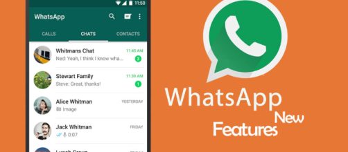 Whatsapp, via i privilegi agli amministratori dei gruppi chat