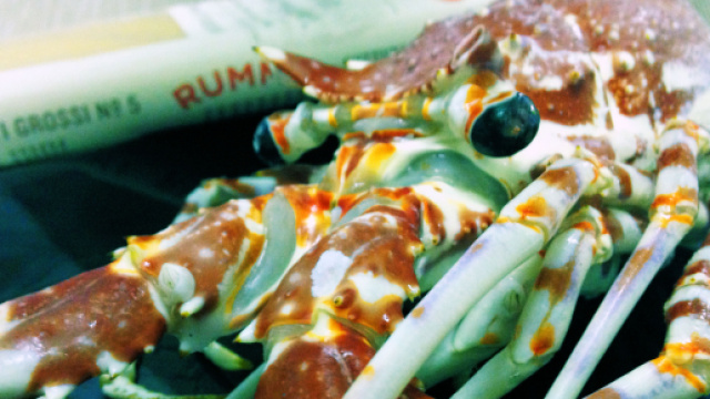 Il giovane &egrave; stato trovato in possesso di due aragoste.