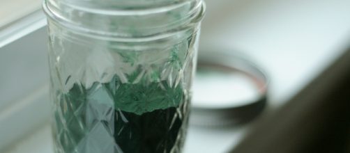 Spirulina: ha effetti benefici, ma attenti alla provenienza.