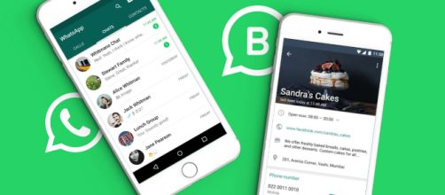 WhatsApp Business: la app di messaggistica apre le porte alle imprese