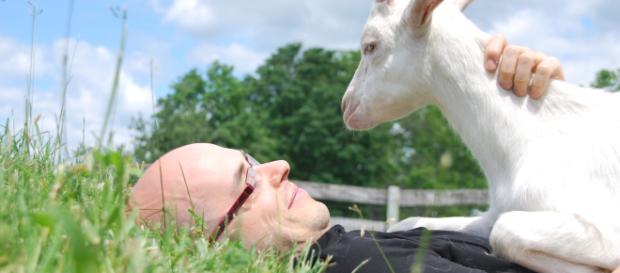 Siempre podremos tener una mejor relación con los animales (foto de Anima naturalis) Siempre podremos tener una mejor relación con los animales (foto de Anima naturalis)